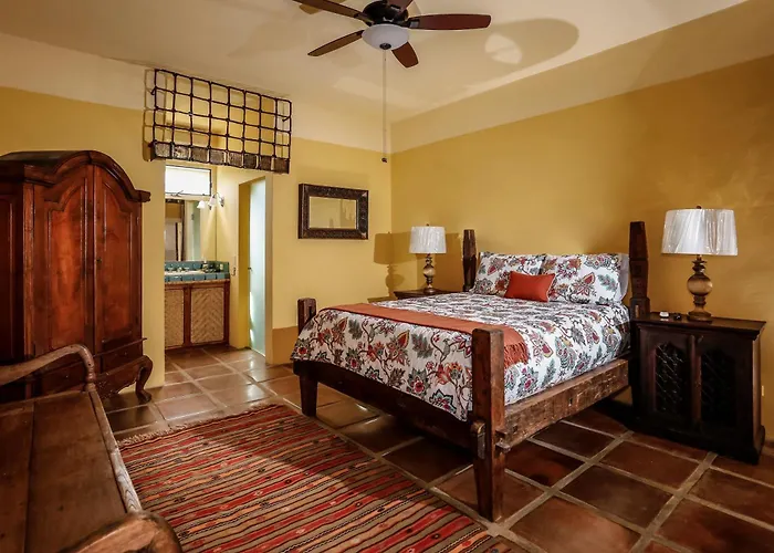 Villa Vida Cabo - Authentic Spacious Ocean View Near Beach&town *