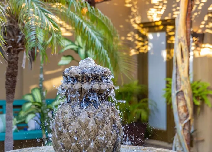 Vida Cabo - Authentic Spacious Ocean View Near Beach&town Villa San José del Cabo